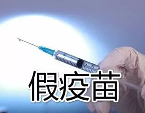 非洲豬瘟有疫苗了？假的！