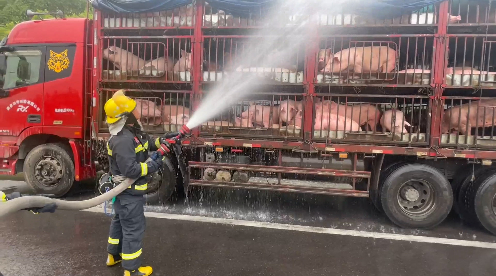 1716173828122010.jpeg 7ebaade25a494dc796e17fd42c3f36f8_w_1919_h_1067.jpeg