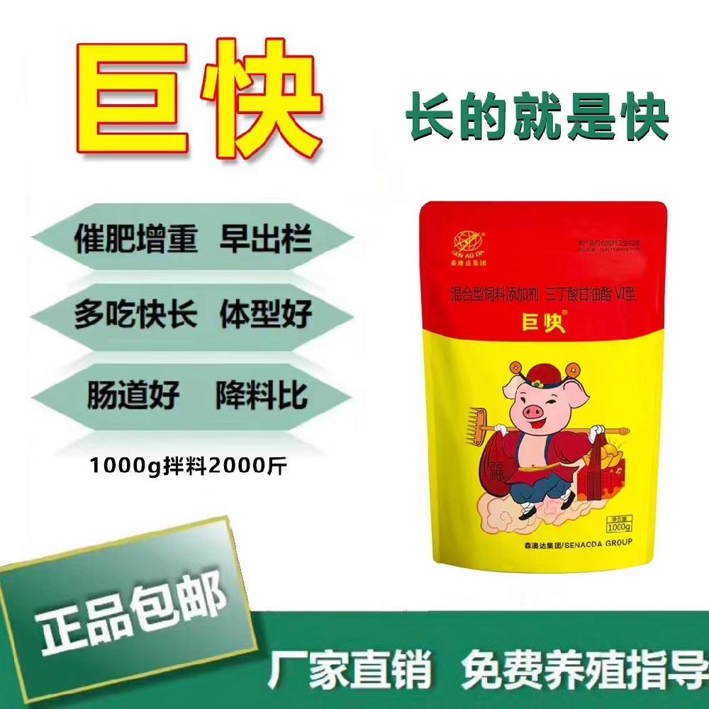 生豬如何高效催肥？